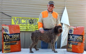 Bob Dorn and Sara took first place in the Nov. 1, 2014 Gun Dog Stakes