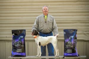11/5/16 1:56:46 PM -- TBDA Winners from the November 5, 2016 Gun Dog and Puppy Trials at Inola, Oklahoma. Also, Gun Dog of the Year Candy Man and Puppy of the Year Daisy Photo by Shane Bevel